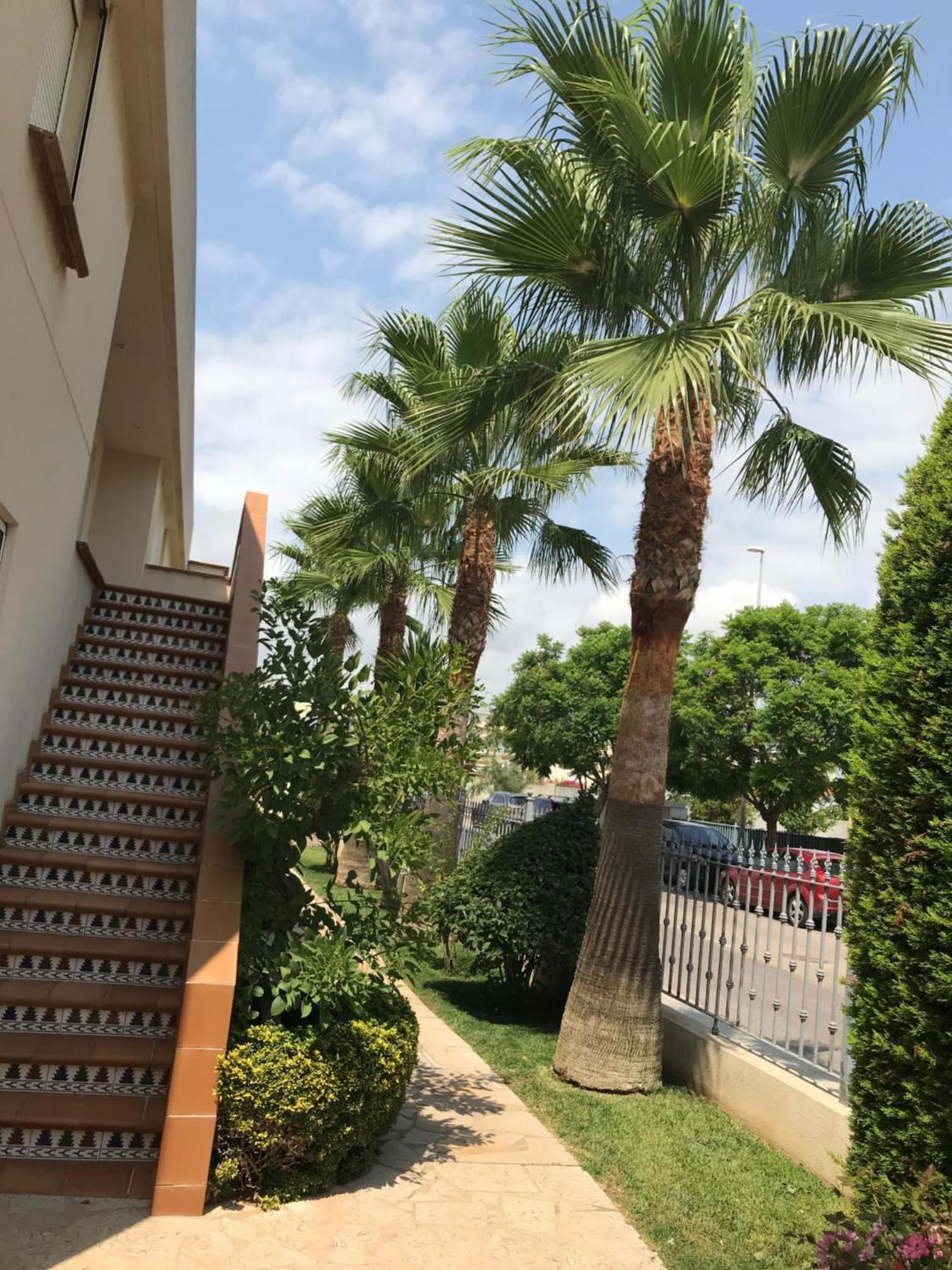 Apartamento Nº 13 Urb. Cala Josep บินารอส ภายนอก รูปภาพ